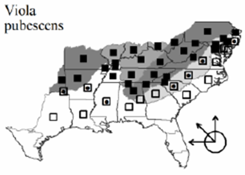 The range of Viola pubescens